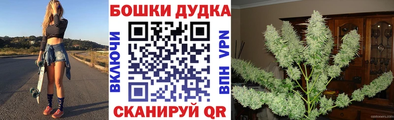 Конопля план  Белоозёрский 